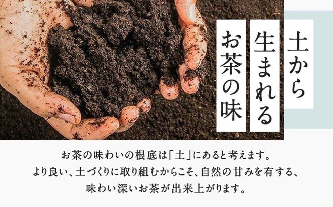 鹿児島特上深蒸し煎茶 彩緑天 3本セット　K112-002