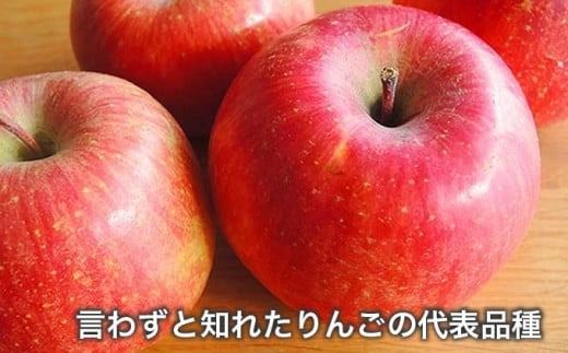 【訳あり】 サンふじ 約3kg ［新規就農者応援コース 幸作会］フルーツ 果物 りんご 林檎 長野県産 信州産 令和7年産【2025年11月下旬～12月下旬発送】 ［KH-50］