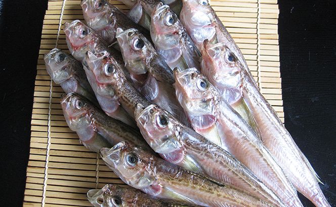 ハタハタ（特大）干物 一夜干し 450g ×1箱 魚貝類 