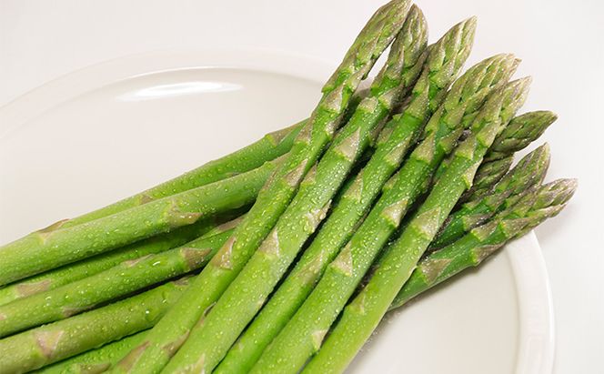 【2026年5月発送】北海道 富良野産 露地 グリーン アスパラ 2Lサイズ約1kg 野菜 アスパラガス