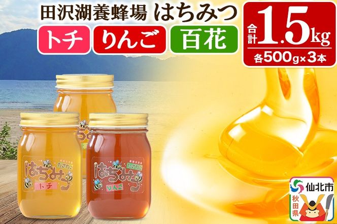 yHckszHcY݂͂ig`ESESԁj500g×e1{ v1.5kg ϔ lߍ킹Zbg cΗ{I|02_tyj-211101