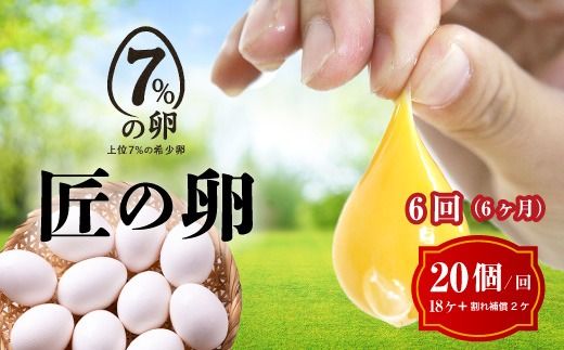 【定期便6ヶ月】匠の卵 20個(割れ玉補償２個）7％の卵｜たまご　卵　玉子　鶏卵　生卵　プレミアム　優秀賞　愛知県　美浜町　国産　産直　卵黄　卵かけご飯