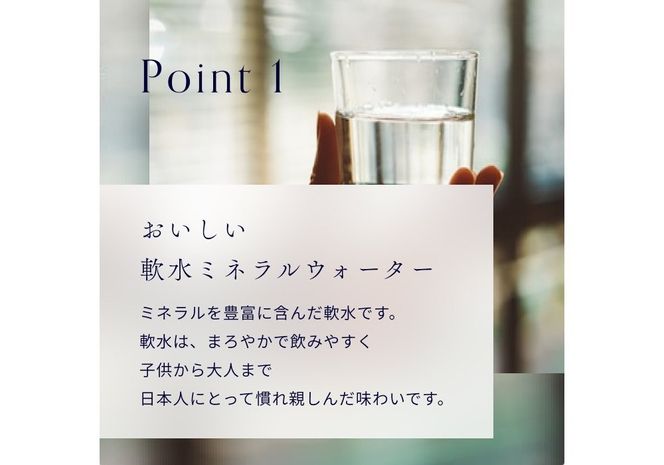 【12ヶ月お届け】富士山の源流水（9.5L×2本/ケース）  定期便 水 ミネラルウォーター 天然水 ウォーターサーバー 詰め替え用 山梨 富士吉田