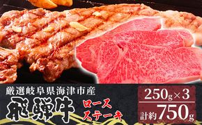 【飛騨牛】海津市産ロースステーキ250g×3 【配達不可：離島】 お肉 牛肉 ステーキ用 国産 岐阜県産 ブランド牛 夕飯 記念日 ディナー 柔らかい サシ 霜降り ボリューミー とろける 旨味 