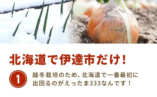 ※業務用※ 伊達産【えったま333】の炒め玉ねぎ ソテードオニオン 1kg×10袋（冷凍）【55250658】