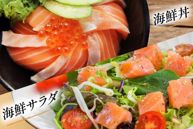 定期便 訳あり とろサーモン 刺身 5パック計1kg×3回 総計3kg 毎月 3回 定期 [たみこの海パック 宮城県 南三陸町 m304amh560079] サーモン 魚 魚介類 海鮮 さしみ 生食 鮭 さけ トラウト ハラミ トロ 冷凍 小分け