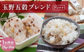 玉野五穀ブレンド「アソート」1か月分（30個入り） 雑穀 国産 