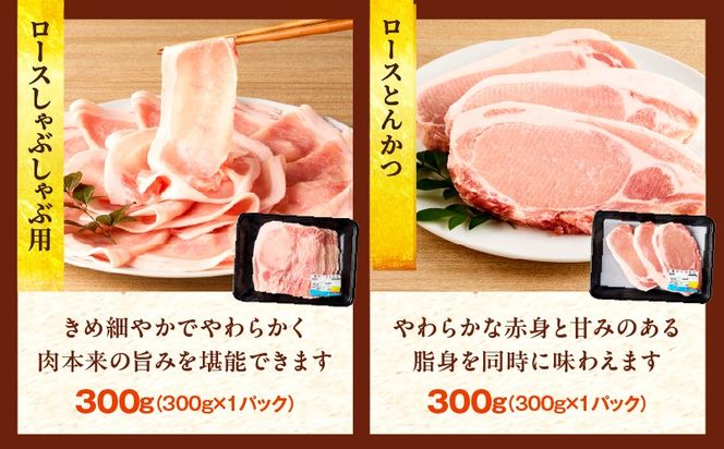 豚肉バラエティー詰合せセット【2.3kg】豚肉 豚肉詰め合わせ セット 小間切れ ウデ モモ スライス ロース バラ 肩ロース とんかつ 冷しゃぶ 豚汁 生姜焼き 国産 プレゼント 贈答 贈り物 ギフト_kn085-013