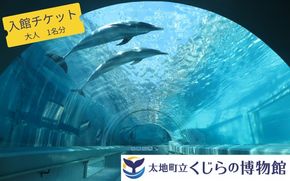 太地町立くじら博物館　入館チケット大人1名分/チケット 入館券 博物館 くじら 鯨【kzr001】