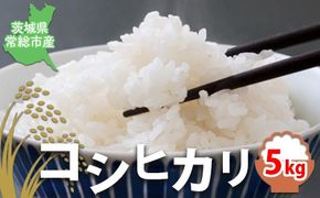 【令和7年産】【精米】コシヒカリ5kg｜茨城県常総市産　精米 米　お米　白米　ご飯　コメ こめ　こしひかり