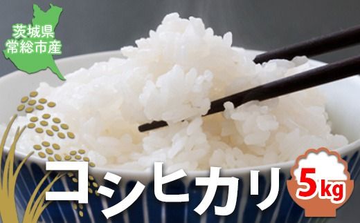 y錧푍szyߘa7NYzyāzRVqJ5kgb錧푍sY@ ā@ā@ā@с@R ߁@Ђ