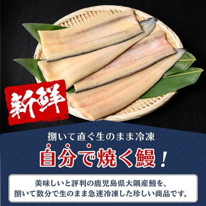 【0165707a】大隅産鰻フレッシュ冷凍(4パック・計約400g・タレ、刷毛付) うなぎ ウナギ 鰻 国産 冷凍うなぎ 蒲焼き たれ はけ ハケ 刷毛 鹿児島 ふるさと 【南嘉起屋】