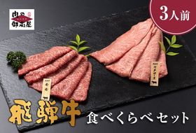 A5 飛騨牛 肩ロース＆モモ スライス 食べ比べセット 2～3人分 450g 521