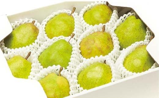 FYN6-056 ≪2025年先行予約≫贈答用 山形県産 西洋梨 ラ・フランス 約3kg (9～10玉) 秀品 2025年11月上旬から順次発送 洋梨 洋なし ラフランス 秋果実 果物 くだもの フルーツ 贈り物 ギフト 産地直送 山形県 西川町 月山