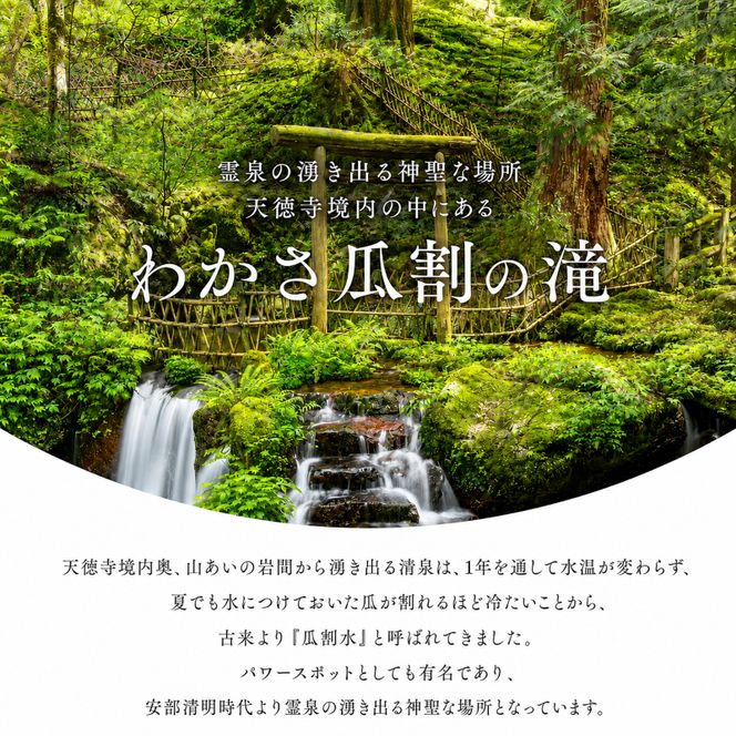 おいしい水 500ml 24本 瓜割名水 名水百選選抜総選挙おいしさ部門2位 ミネラルウォーター 美味しい水 水 ナチュラルミネラルウォーター 天然水 みず ペットボトル 2リットル 飲み物 飲料 飲料水 福井 福井県 若狭町