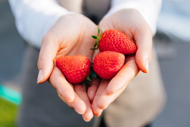 [先行予約]《あまりん》朝採れ プレミアムいちご 1パック｜埼玉 オリジナル 品種 糖度 高い 甘い 高級 イチゴ SugarBerry すぎと [0681]