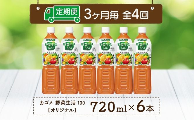ns038-063　【定期便】3ヵ月毎全4回野菜生活100 オリジナル 720mlPET