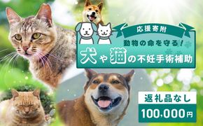 ON0030 【返礼品なし】動物の命を守る！犬や猫の不妊手術補助 応援寄附（大阪府泉佐野市）　