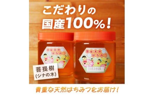 【北海道滝川産】高見養蜂場の純粋はちみつ(菩提樹、シナの木600g×2本)｜国産 日本製 天然 無添加 純粋 非加熱 生はちみつ ミツバチ ハニー 栄養 健康 美容 ビタミン ミネラル 抗生物質 プロポリス アミノ酸 濃厚 ギフト 贈答