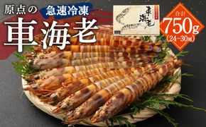 原点の車海老「急速冷凍」750g（24～30尾） （250g×3パック） 車海老 車えび くるまえび 急速冷凍 新鮮 お刺身 天ぷら 塩焼き 熊本県産 【2026年10月上旬より順次発送予定】
