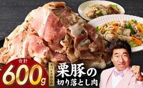 G3444 栗豚 切り落とし 600g【オリジナルスパイス仕込み 小分け 300g×2P 豚肉 焼くだけ お試し】