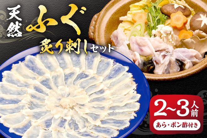 漁協お勧め 玄界灘 の 天然 ふぐ 炙り刺し セット(2～3人前)【宗像漁協】_HA1591