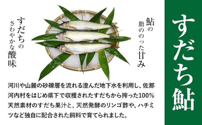 すだち鮎 12尾 冷凍 有限会社岩崎商店 《30日以内に出荷予定(土日祝除く)》│1尾あたり20～25cm 徳島県産 あゆ アユ 魚 魚介 川魚 塩焼き 甘露煮 徳島県 佐那河内村---sanagouchi_ist_2_12bi---