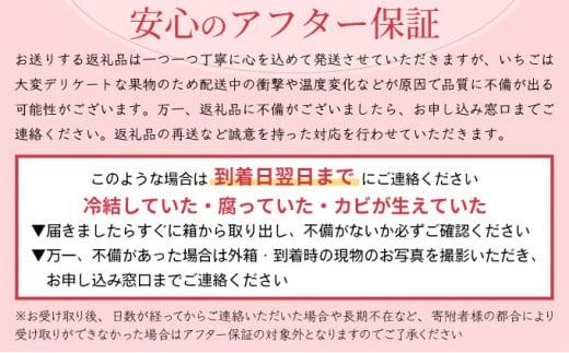 《先行予約》240g×4P 佐賀県産いちご「いちごさん」 計960g!【先行予約】2025年1月中旬より発送 A-66-AS