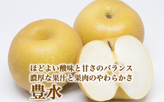 【射水のおいしい果実】【梨】直売所直送 野開梨園の“呉羽梨” 豊水5kg（14～16個／箱）※2026年9月～発送