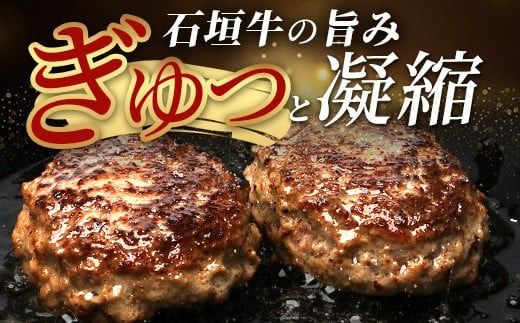 石垣牛100％ ハンバーグ　(100ｇ×15個)｜国産 石垣牛100% 高級 黒毛和牛 ビーフ ハンバーグ詰め合わせ ID-2