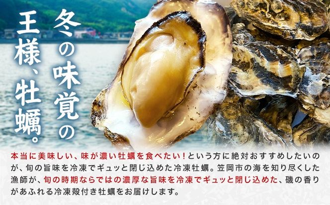 笠岡産 冷凍殻付き牡蠣 加熱用 選べる 1kg 2kg 《30日以内に出荷予定(土日祝除く)》岡山県 笠岡市 かき カキ 牡蠣 生牡蠣 瀬戸内海産 殻付き 冷凍---T-52---
