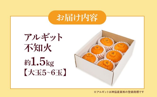 アルギット 不知火 約1.5kg 大玉 サイズ（5～6玉）| 先行予約 不知火 デコ みかん 甘い おいしい ジューシー 完熟 期間限定 数量限定 フルーツ 果物 柑橘 人気 おすすめ 高級 こだわり ギフト 旬 お取り寄せ 送料無料 和歌山 有田川町     DT012