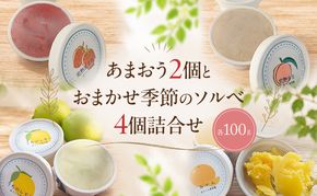 自家栽培果実 ソルベ 詰合せ あまおう2個とおまかせ季節のソルベ4個＜Cafe 楓＞ 果実 果物  苺 イチゴ デザート ※配送不可:離島