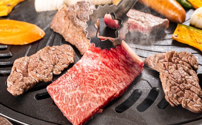 極上但馬牛 焼肉用 500g / 牛肉 焼肉 焼き肉 やきにく 黒毛和牛 赤身 霜降り 焼き肉用 黒毛和牛 国産牛 肉 国産 特産品 お祝い ギフト【但馬ビーフはまだ】