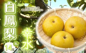  白鳳梨(幸水) 3L 14玉 ※お届けは8月中旬以降の予定です【hkns0003】 