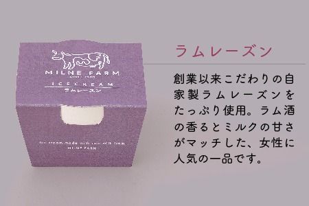 佐賀脊振高原ミルン牧場のアイスクリーム6個セット【手作り 濃厚 生乳 ミルク バニラ 抹茶 チョコ ストロベリー ラムレーズン】(H102121)