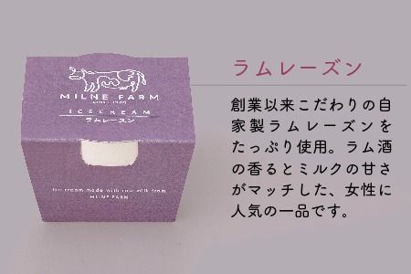 佐賀脊振高原ミルン牧場のアイスクリーム48個セット【手作り 濃厚 生乳 ミルク バニラ 抹茶 チョコ ストロベリー ラムレーズン】(H102124)