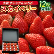 【2027年1月発送開始】【先行予約】【数量限定】大粒プレミアムいちご スカイベリー 12粒 (約400g) | 栃木県 ふるさと納税 高級いちご 贈答用 イチゴ 苺 果物 フルーツ スカイベリー 熟成 大粒いちご こだわり (DS004)