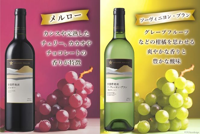 6回 定期便 ワイン セット サッポロ グランポレール 安曇野池田ヴィンヤード 6種 各750ml 総計36本 飲み比べ [池田町ハーブセンター 長野県 池田町 48110631] 赤 白 赤ワイン 白ワイン 辛口 シャルドネ