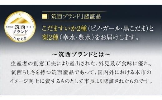 【 筑西ブランド 認証品 】 旬のフルーツ 定期便 ( ミニコース ) 2026年産 先行予約 JA 幸水 豊水 こだまスイカ 黒こだま ピノ・ガール 果物 フルーツ なし 和梨 小玉すいか 小玉 すいか スイカ [AE013ci]