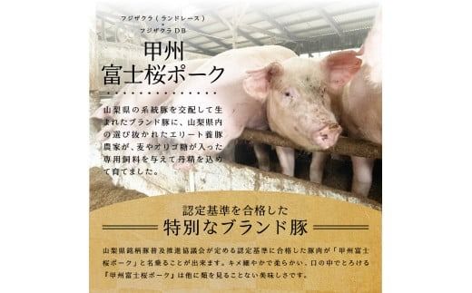 山梨県産　熟成肉ハンバーグ10個セット ハンバーグ 冷凍ハンバーグ お弁当 肉 富士吉田 山梨