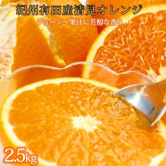 とにかくジューシー清見オレンジ 約2.5kg【2025年3月下旬以降発送】【先行予約】【UT131w】 AN057