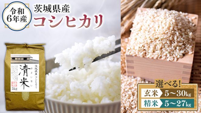 ＼ 選べる内容量 ／ 令和6年産 茨城県産 コシヒカリ （精米 5kg・10kg・27kg / 玄米 5kg・10kg・30kg） 新米 白米 清米 キヨシマイ こしひかり 米 コメ こめ 単一米 限定 茨城県産 国産 美味しい お米 おこめ おコメ [EH01-NT00]