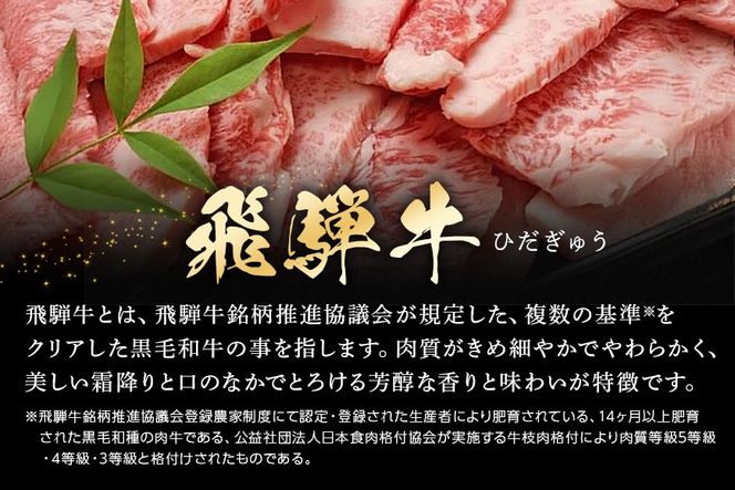 飛騨牛 カルビー 500g 焼肉用 冷蔵配送 焼肉 焼き肉 バーベキュー BBQ キャンプ アウトドア 牛肉 肉 お肉 507