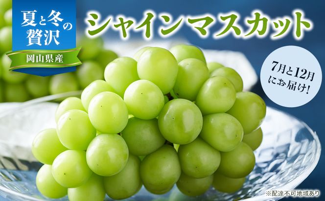 【2026年先行予約】 ぶどう 夏と冬の 贅沢 シャインマスカット 7月と12月に分けて お届け ！ 葡萄 ブドウ 岡山県産 フルーツ 果物 数量限定 期間限定 岡山 里庄町 