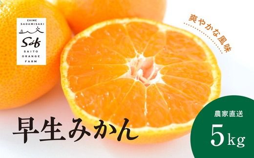 【先行予約】Saito Orange Farmの早生(わせ)みかん5kg ｜ 柑橘 みかん ミカン フルーツ 果物 愛媛　※離島への配送不可　※2024年11月中旬頃より順次発送予定