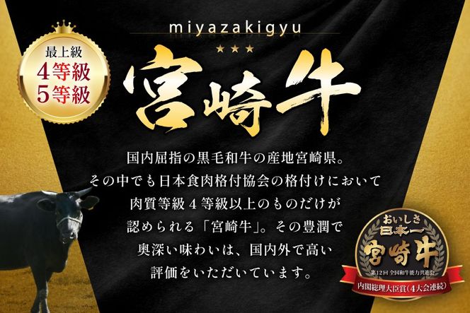 牛肉 宮崎牛 希少部位 シャトーブリアン 2枚 計300g [ローカルブランディング 宮崎県 日向市 452061396] 冷凍 黒毛和牛 黒毛 A4 A5 国産 ステーキ