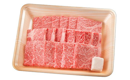 飛騨牛 もも300g・ロース300g 焼肉用 計600g 飛騨牛 A5等級 和牛 黒毛和牛 F4N-2669