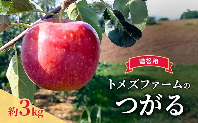つがる（贈答用） 約3kg（8玉〜12玉入り）トメズファーム　りんご　長野　信州　小諸　果物　フルーツ