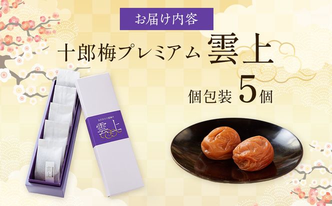 【小田原のブランド梅の大粒梅干し】雲上５個入り【 梅干し 神奈川県 小田原市 】 142069_CW083